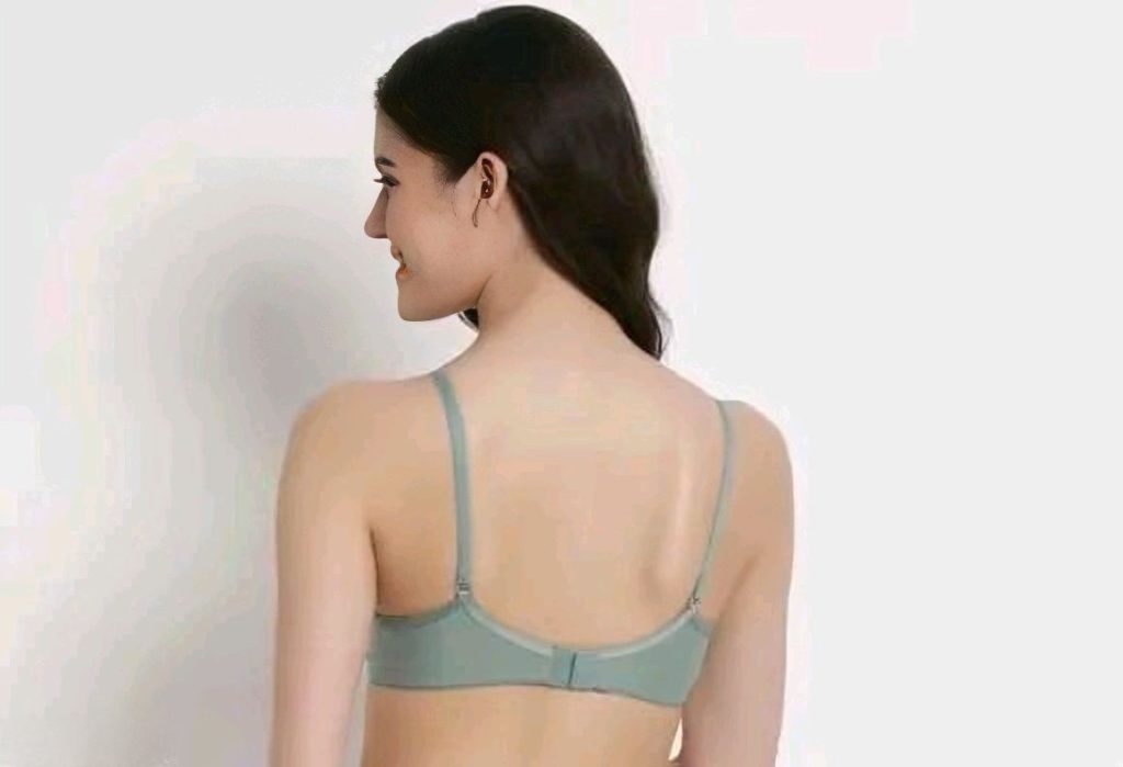Women’s Premium Seamless Padded Bra (Pack of 3) | Non-Wired Cotton Blend Everyday Comfort Bra